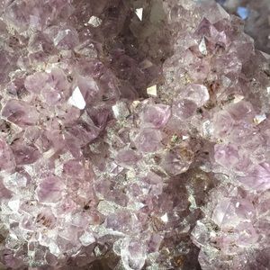 Meet your Posher, Fran